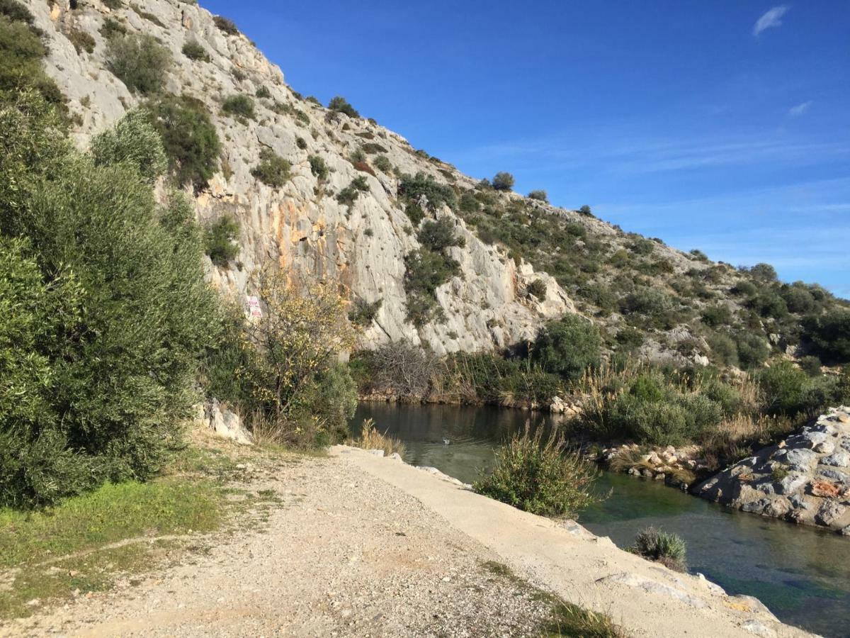 Villa Les Oliviers Salses-le-Chateau Dış mekan fotoğraf